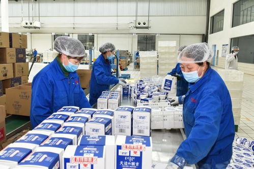 內蒙古烏蘭察布 一杯酸奶為產業發展添動能